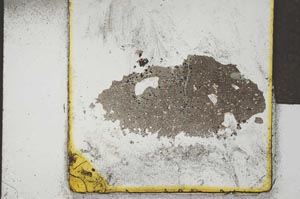 Plane Polarized, S21414