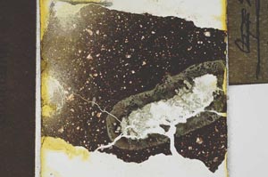 Plane Polarized, S21415