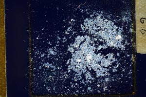 Cross Polarized, S21418