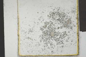 Plane Polarized, S21418