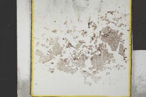 Plane Polarized, S21422