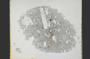 Plane Polarized, S21426