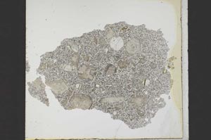 Plane Polarized, S21427