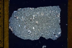 Cross Polarized, S21428