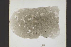 Plane Polarized, S21428