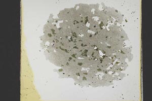 Plane Polarized, S21429