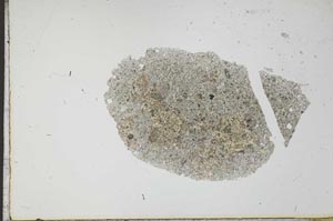 Plane Polarized, S21430