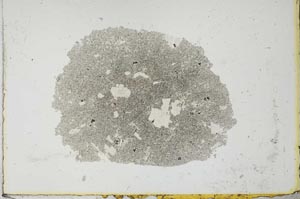 Plane Polarized, S21528