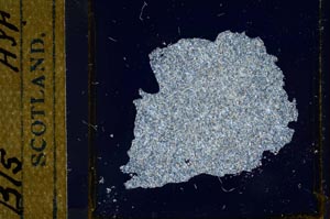 Cross Polarized, S21535