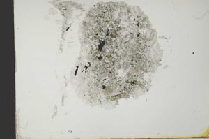 Plane Polarized, S21551