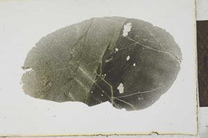 Plane Polarized, S21565