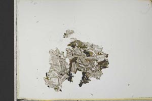 Plane Polarized, S21573