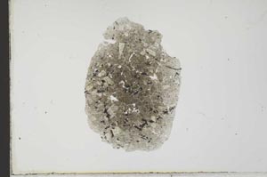 Plane Polarized, S21581