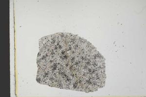 Plane Polarized, S21584