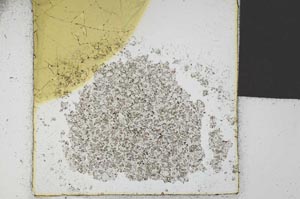 Plane Polarized, S21618
