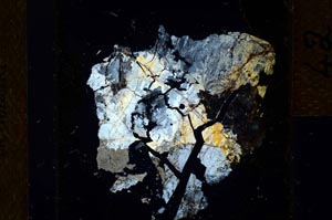 Cross Polarized, S21643