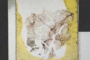 Plane Polarized, S21643