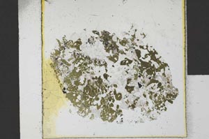 Plane Polarized, S21657