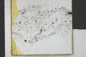 Plane Polarized, S21665