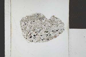 Plane Polarized, S21669