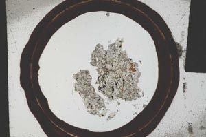 Plane Polarized, S21670
