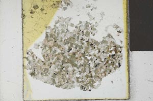 Plane Polarized, S21671