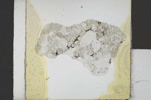 Plane Polarized, S21681