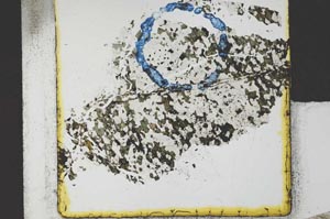 Plane Polarized, S21682
