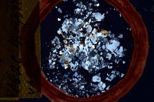 Cross Polarized, S21683