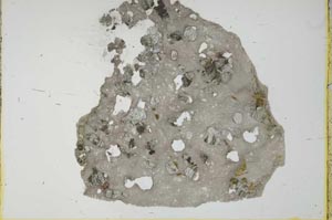 Plane Polarized, S21687
