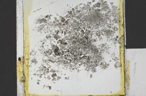 Plane Polarized, S21689