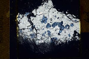 Cross Polarized, S21692