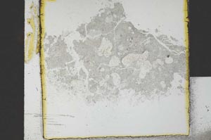Plane Polarized, S21692