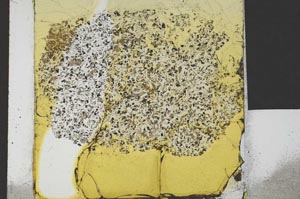 Plane Polarized, S21708