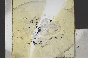 Plane Polarized, S21732