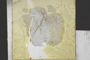 Plane Polarized, S21733