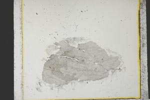 Plane Polarized, S21734