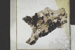 Plane Polarized, S21736
