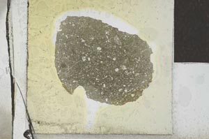 Plane Polarized, S21740