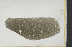 Plane Polarized, S21740/A