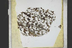 Plane Polarized, S21741