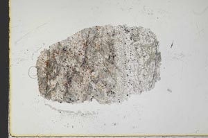Plane Polarized, S21743