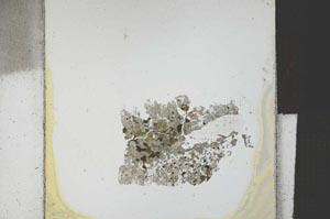 Plane Polarized, S21745
