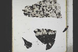 Plane Polarized, S21751