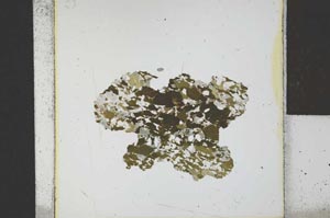 Plane Polarized, S21753