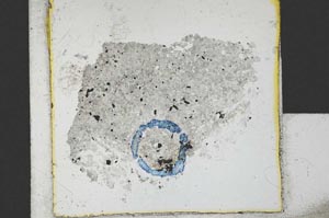 Plane Polarized, S21757