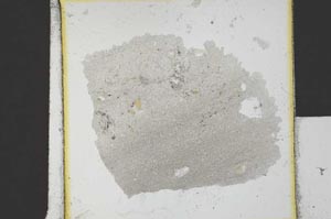 Plane Polarized, S21760