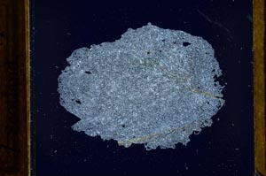 Cross Polarized, S21763