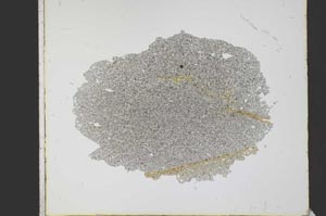 Plane Polarized, S21763