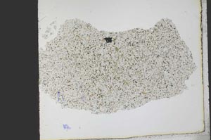 Plane Polarized, S21766
